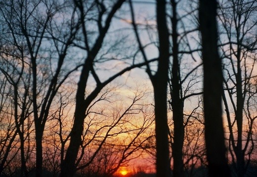 Sheltowee Trace Sunset